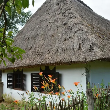 In - Suedtransdanubien 43397 Σπίτι διακοπών *