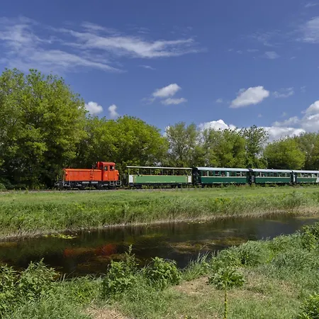 In - Suedtransdanubien 43397 * Buzsák