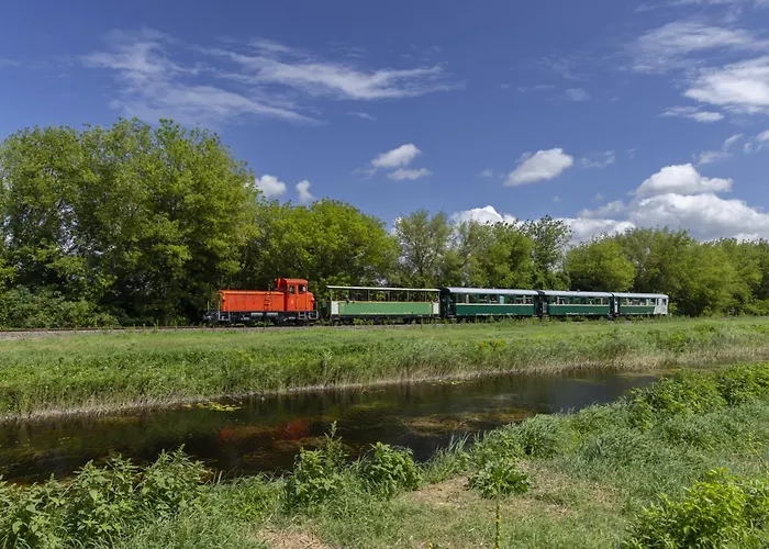 In - Suedtransdanubien 43397 * Buzsák